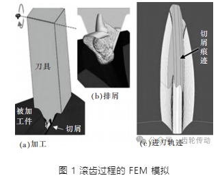 刀具輪廓對(duì)滾齒磨損特征的影響分析